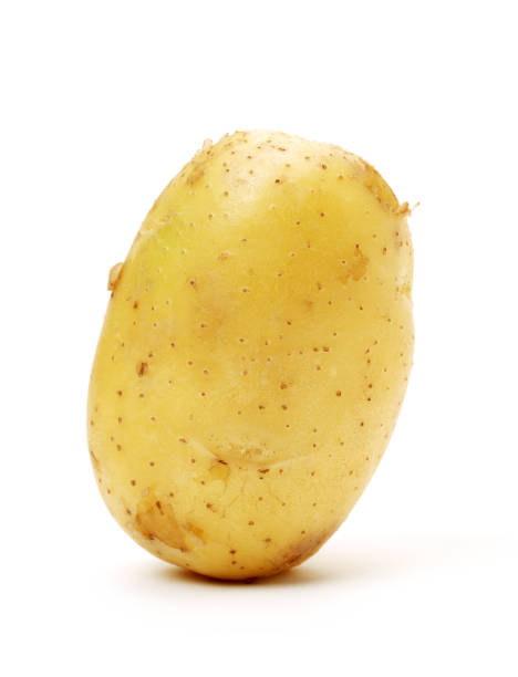 흰색 배경으로 새 감자를 서 - new potato raw potato freshness organic 뉴스 사진 이미지