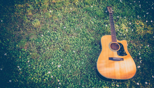 Close-up of guitar in the grass