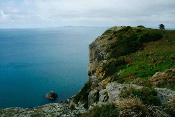 istock View fron the Nut, Stanley, Tasmania 693106422