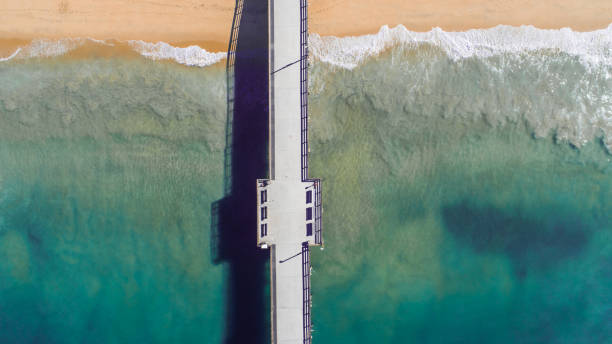 istock Pier in Newport Beach, California 693116094
