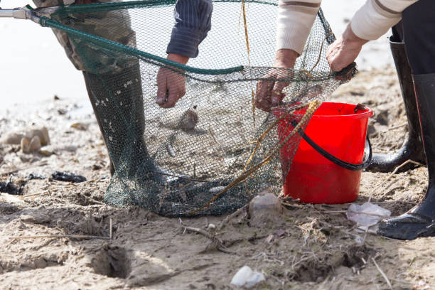 istock fishing with a net in the river 693116128