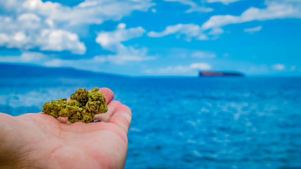 Cannabis hand in left corner stock photo