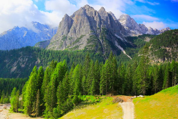 Country road into Idyllic pinnacles mountain range and woodland at springtime, dramatic panorama and majestic Dolomites, Italy tirol alps