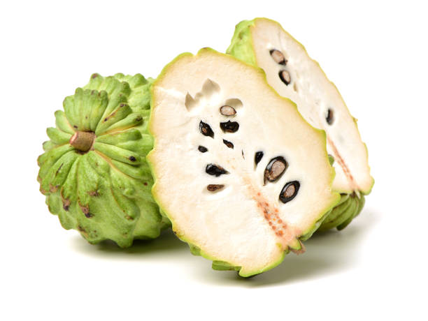 istock Custard apple isolated on white background,annona 693120120