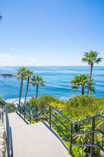 istock Beautiful Heisler Park, Laguna Beach, California 693122628