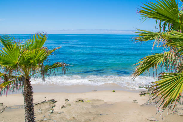 istock Beautiful Heisler Park, Laguna Beach, California 693122652