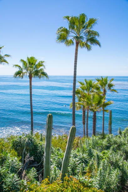 istock Beautiful Heisler Park, Laguna Beach, California 693122714