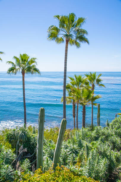 istock Beautiful Heisler Park, Laguna Beach, California 693123088