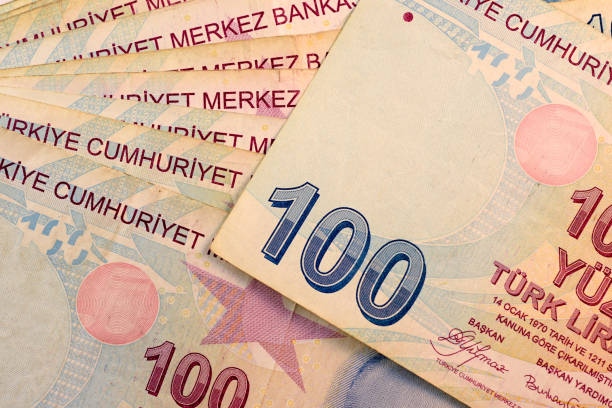 istock Close up Turkish lira currency note 693126022