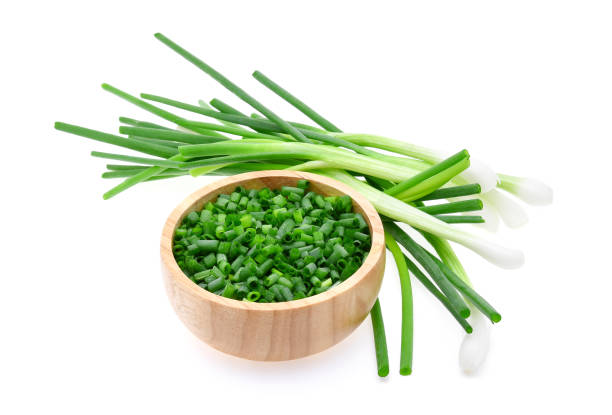 istock Green onion isolated on the white background 693129394