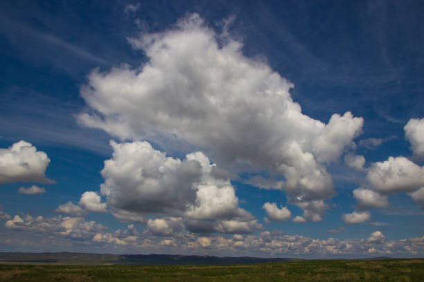 istock Steppe in spring, Kazakhstan. Amazing clouds and sky 693129648
