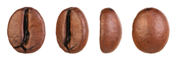 chicchi di caffè isolati su sfondo bianco - coffee crop bean seed directly above foto e immagini stock