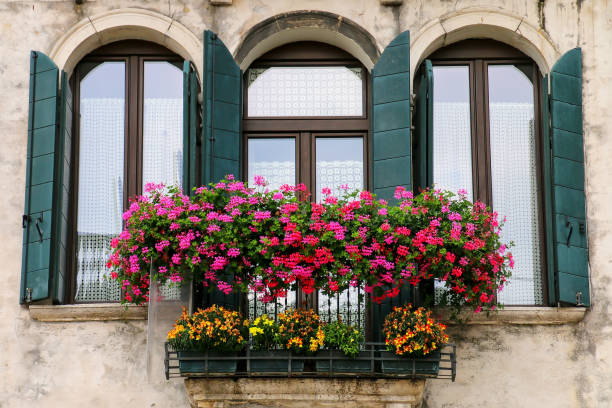finestra e fioriera, venezia, italia - venetian lagoon italy flower shutter foto e immagini stock