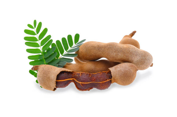 istock Tamarind isolated on white background 693132860