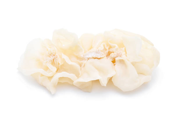istock white ear mushroom or white jelly mushroom isolated on white background 693136506