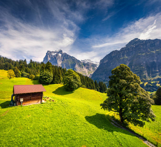 istock Colorful morning view of Grindelwald village valley from cableway. 693138708
