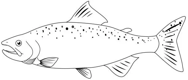 Vector illustration of Doodle animal for wild salmon