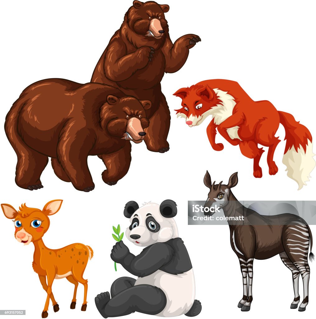 Different Types Of Wild Animals Stock Illustration - Download Image Now -  Okapi, Animal, Animal Wildlife - iStock