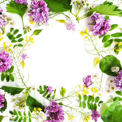 Flower pattern with different leaves and lilac on white background with place for text.