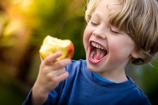 close up of 5 year old blonde child with mouth open about to take a bite of an apple