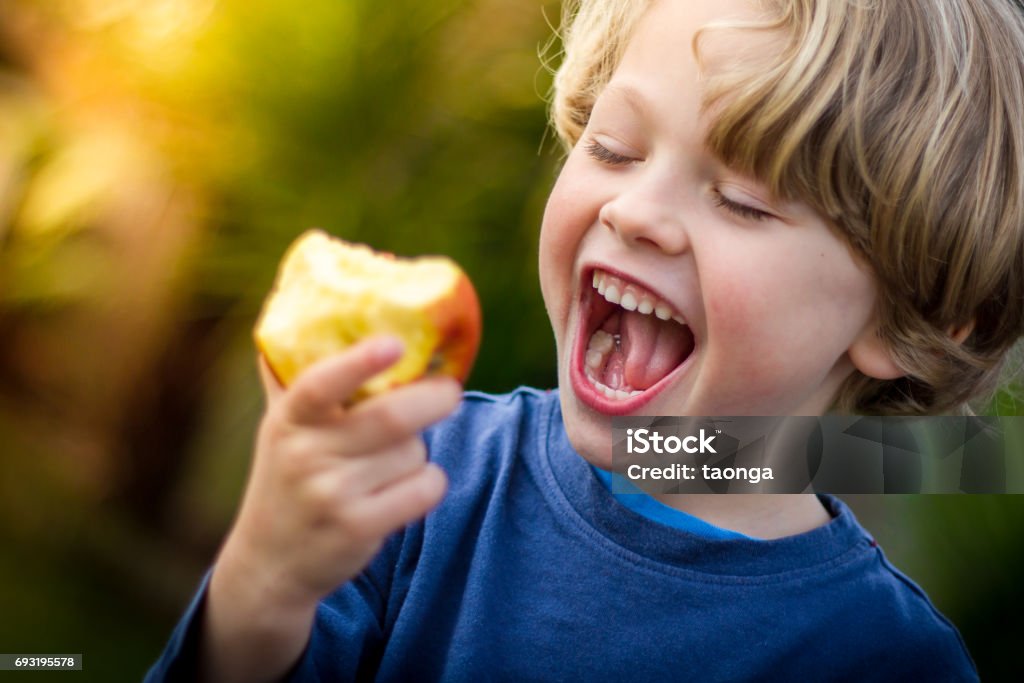 cute blonde child about to take a bite of an apple close up of 5 year old blonde child with mouth open about to take a bite of an apple Child Stock Photo