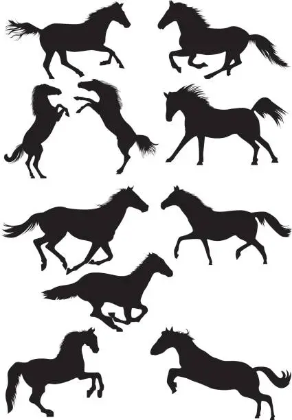 Vector illustration of Set of vector horse silhouettes. Running, galoping and jumping horses.