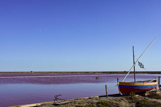 istock Saline of Gruissan 693197012