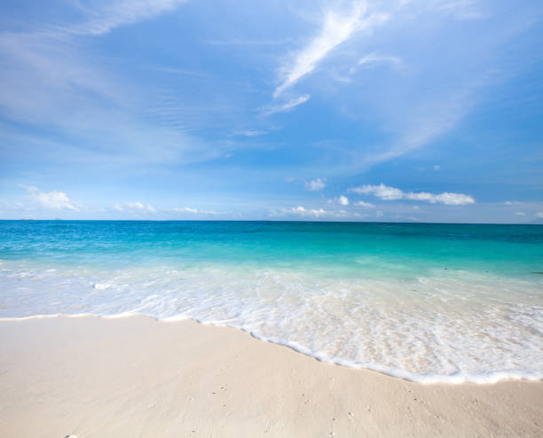istock beach and tropical sea 693223436