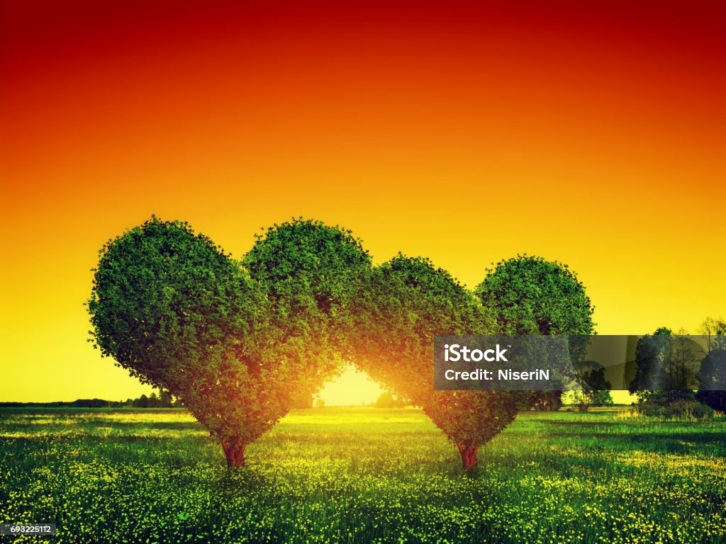 Heart shape trees couple on green grass field at sunset. Love Heart shape trees couple on green grass field landscape at sunset. Love symbol, concept for Valentine's Day, wedding etc. Heart Shape Stock Photo