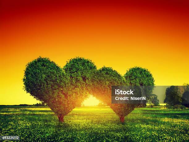 Heart Shape Trees Couple On Green Grass Field At Sunset Love Stock Photo - Download Image Now