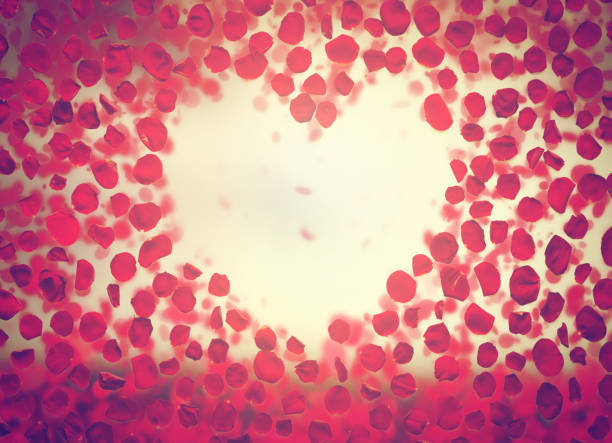 Rose flower petals making a heart shape on vintage romantic sky. Love, Valentine's Day concepts.