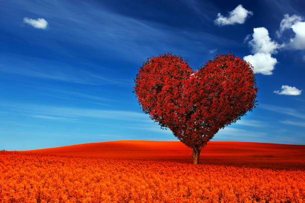 istock Heart shape tree with red leaves on red flower field. Love symbol 693225292