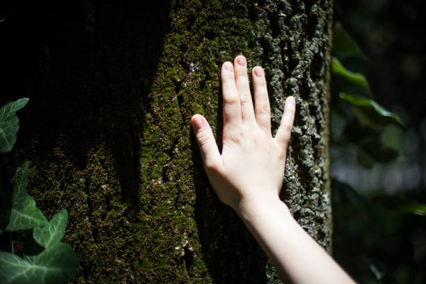 istock In the botanic garden 693226256