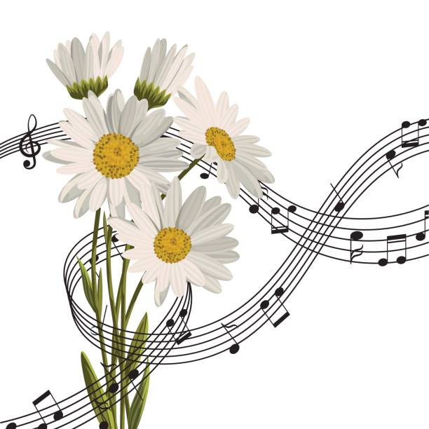 ilustraciones, imágenes clip art, dibujos animados e iconos de stock de ilustración de vector con notas musicales y margarita flores - chamomile entertainment nature leaf
