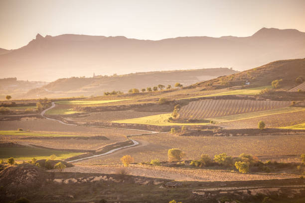 el pueblo de briones y campos.  rioja alta, españa - house landscaped beauty in nature horizon over land fotografías e imágenes de stock