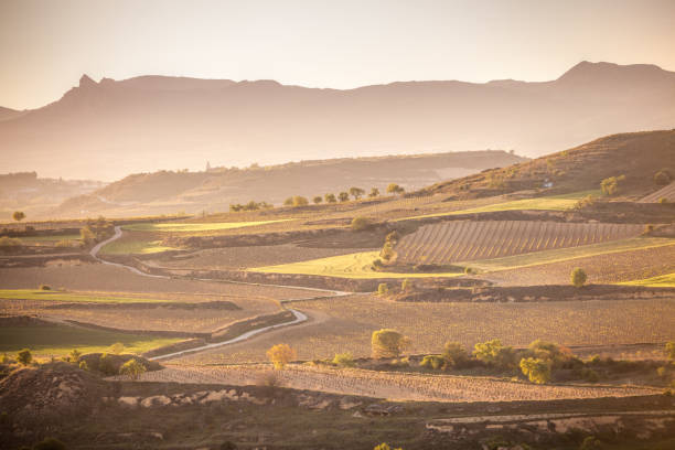Cтоковое фото Деревня Брион и поля.  Риоха Альта, Испания