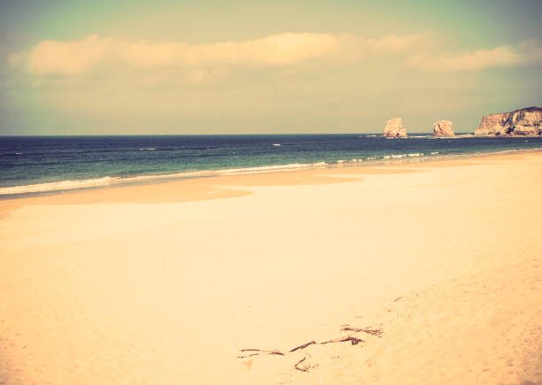 A beautiful windy beach at the west coast of France on a hot summer day