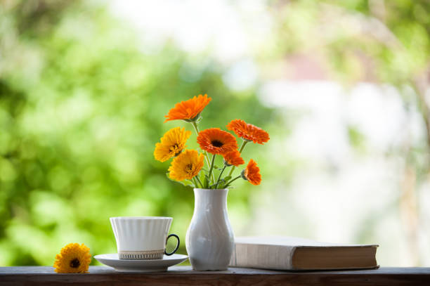 a bouquet of yellow sunflower flowers in a glass vase, a stack of books and plums on an old wooden table in the garden
