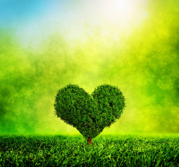 istock Heart shaped tree growing on green grass. Love, nature, environment 693262868
