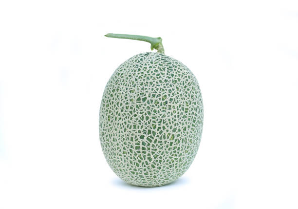 japanese green cantaloup melon on white background.