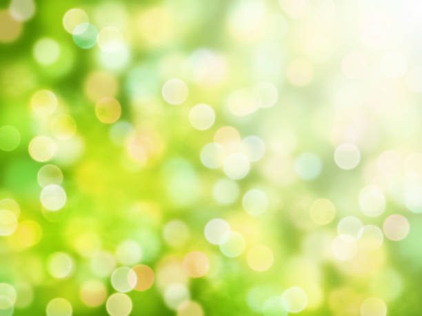 istock fresh bokeh background in shades of green, white and yellow 693273176