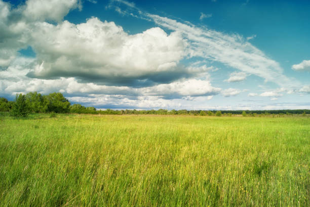 istock Beautiful cumulus clouds over meadows and fields in the valley 693279584