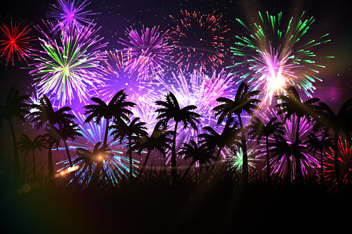 Digitally generated palm tree background with colourful fireworks