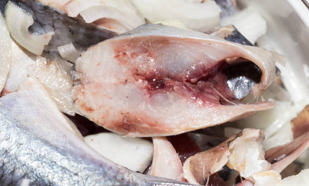 istock sliced herring with onions in a dish 693297418