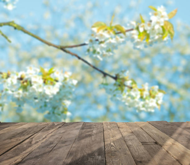 istock wood table and blurry spring garden with blooming cherries in background. Empty table for display product. 693301320