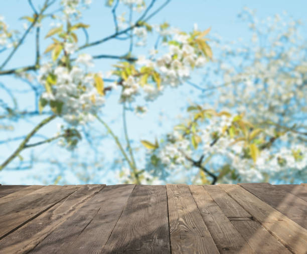 istock wood table and blurry spring garden with blooming cherries in background. Empty table for display product. 693301350
