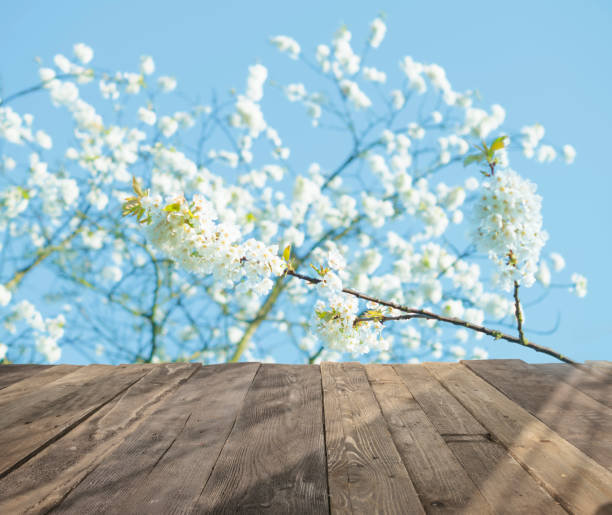 istock wood table and blurry spring garden with blooming cherries in background. Empty table for display product. 693301428