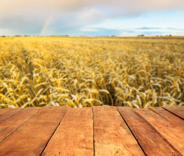 istock wood table and blurry Field with mature cereal ears and rainbow in background. Empty table for display product. 693304060