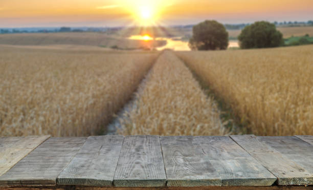 istock wood table and blurry Field with mature cereal ears and rainbow in background. Empty table for display product. 693304314