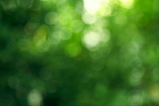autumn bokeh background green bokeh background with circles. Summer abstract theme greeen stock pictures, royalty-free photos & images